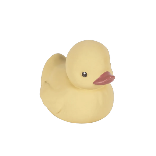 Duck Bath Toy