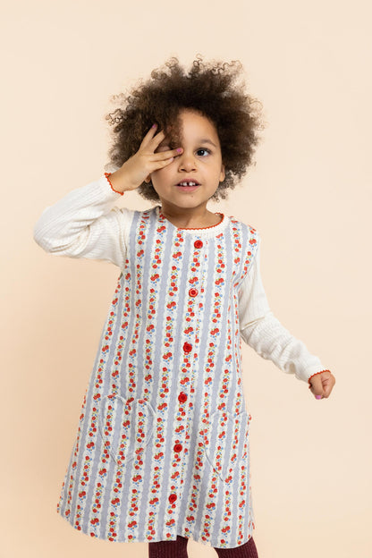 Aria Dress - Blue Air Rose