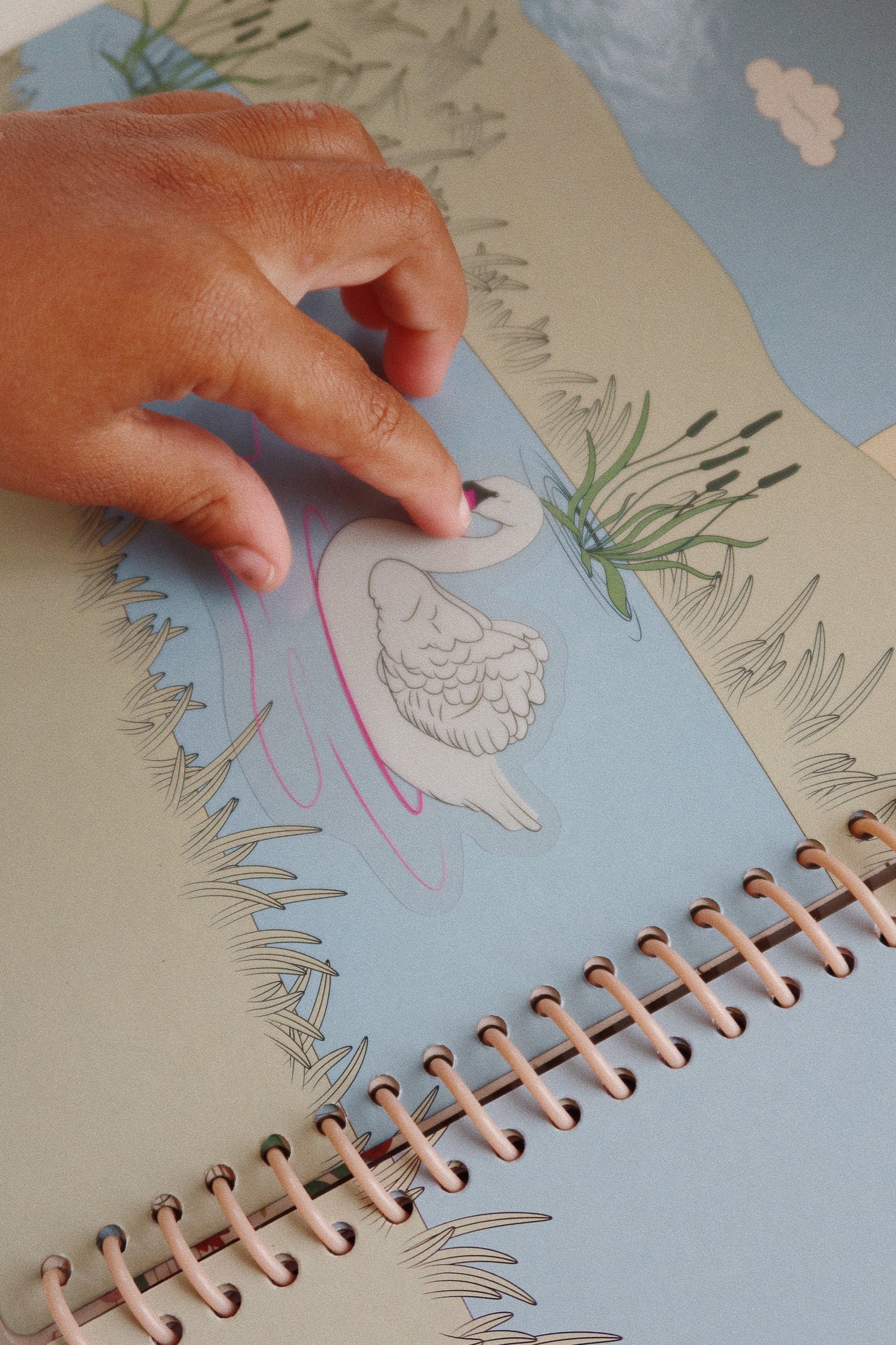 MY STICKER BOOK - blush