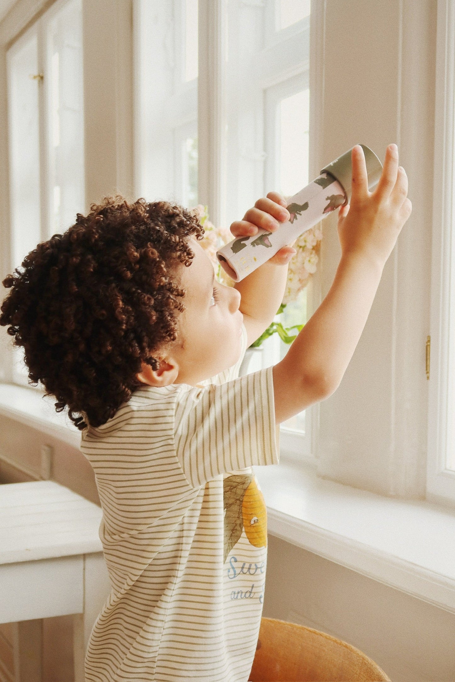 KALEIDOSCOPE FSC - crocodile