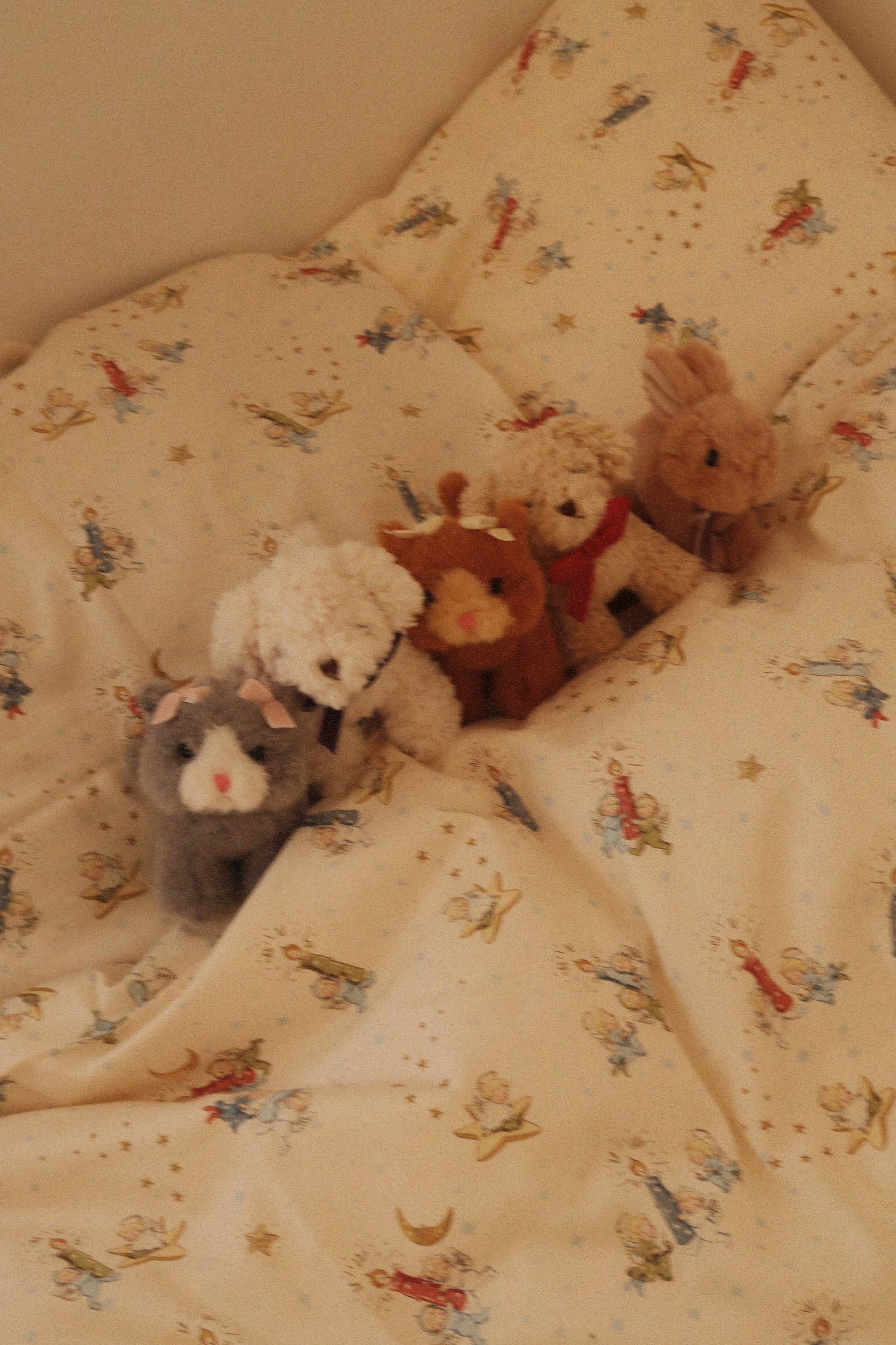 BABY ANIMALS - grey cat