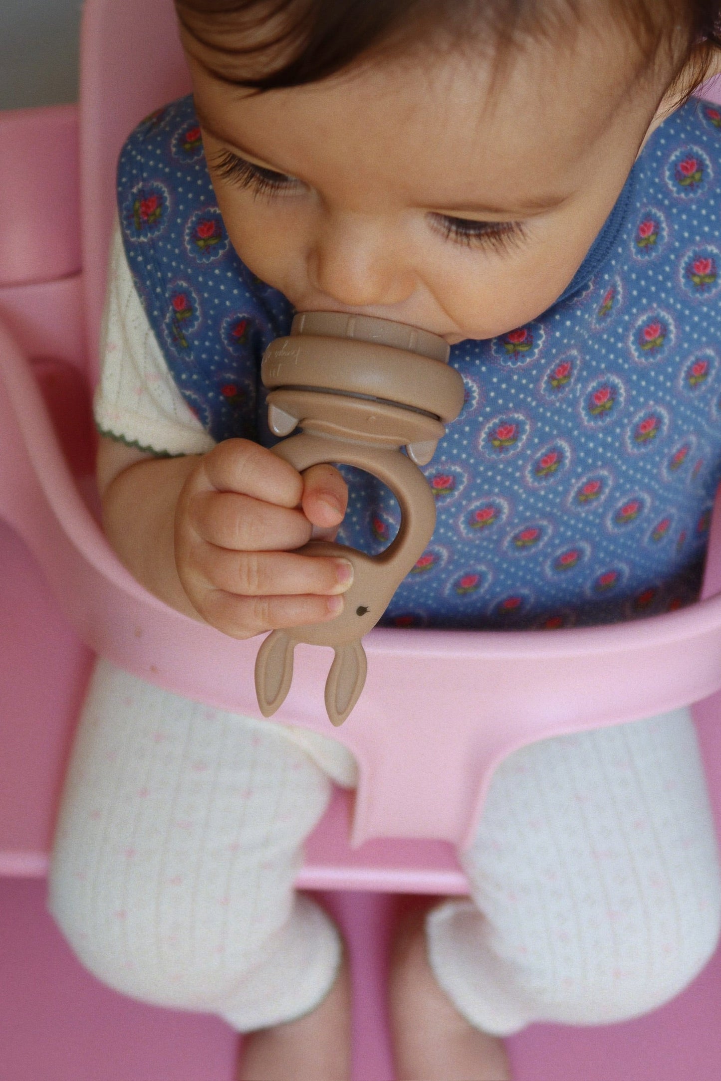 SILICONE FRUIT FEEDING PACIFIER - bark/shell