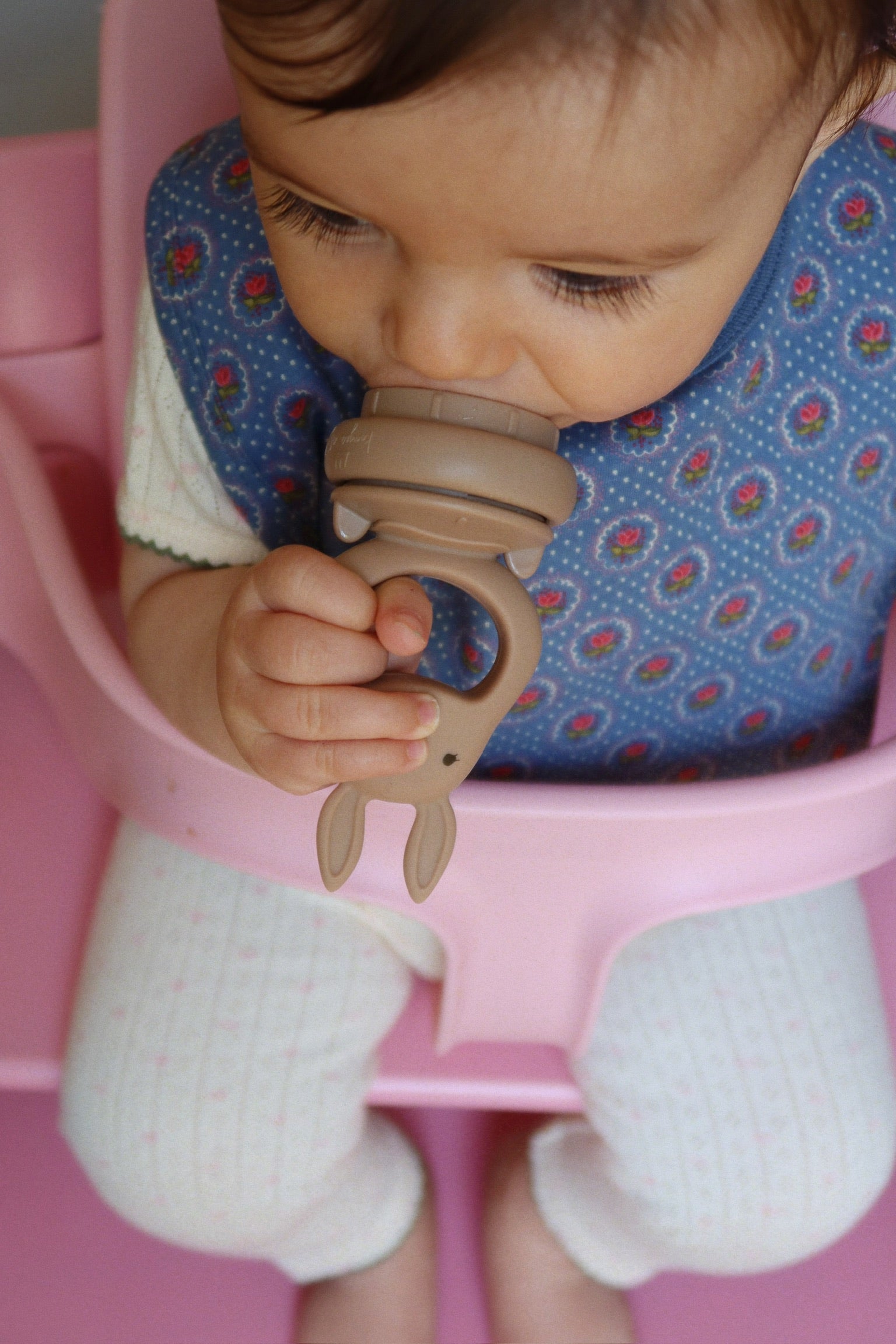 SILICONE FRUIT FEEDING PACIFIER - bark/shell