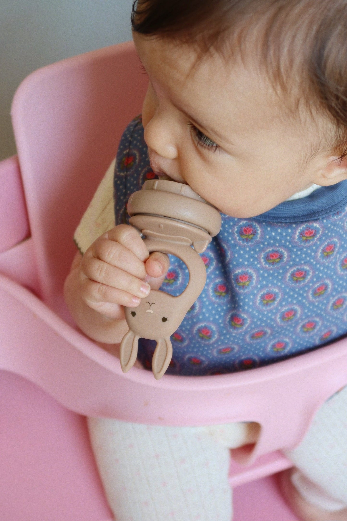 SILICONE FRUIT FEEDING PACIFIER - bark/shell