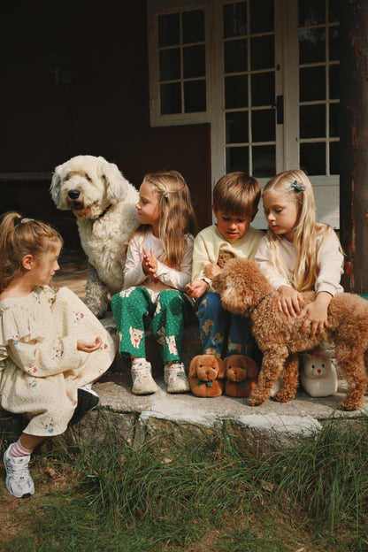 SAUSAGE DOG FOOTIES - chicory coffe