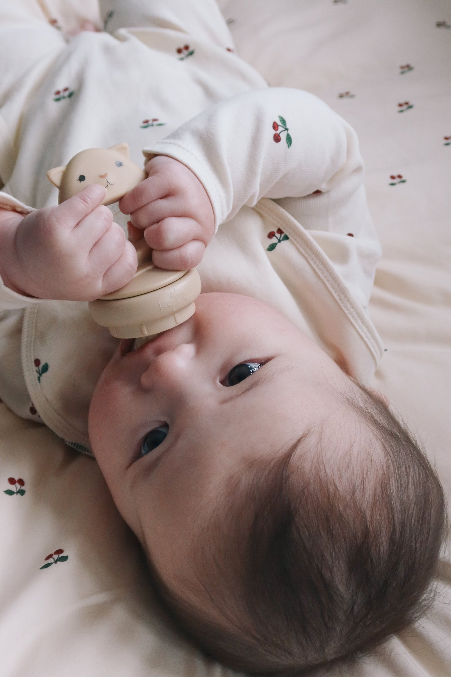 SILICONE FRUIT FEEDING PACIFIER - bark/shell