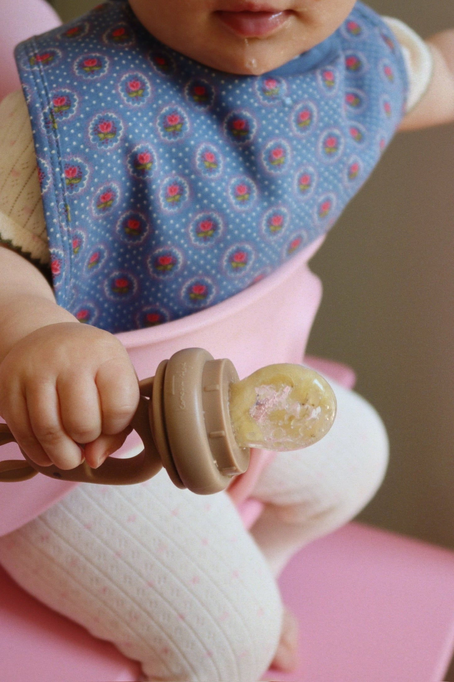 SILICONE FRUIT FEEDING PACIFIER - bark/shell