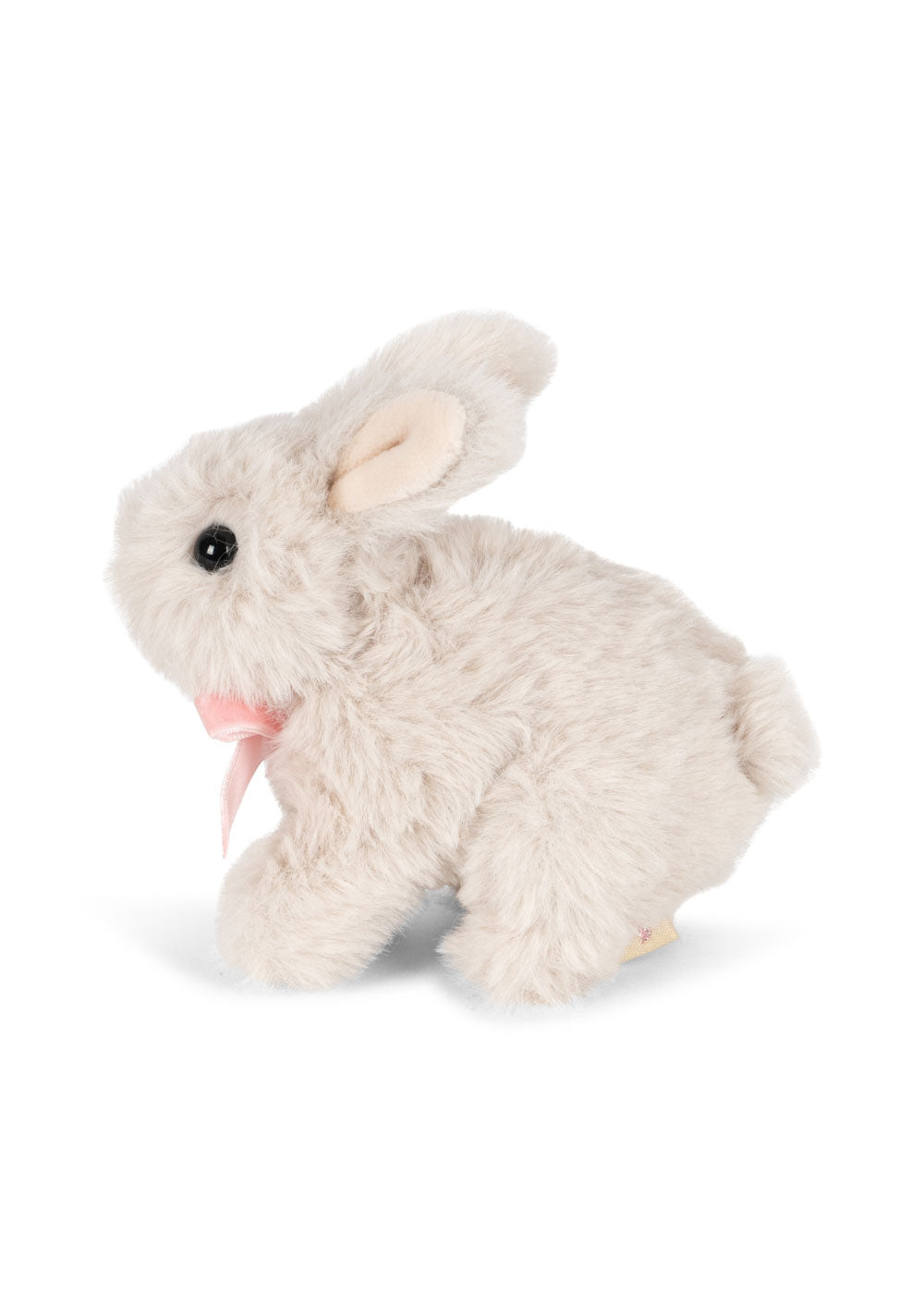 BABY ANIMALS - white bunny