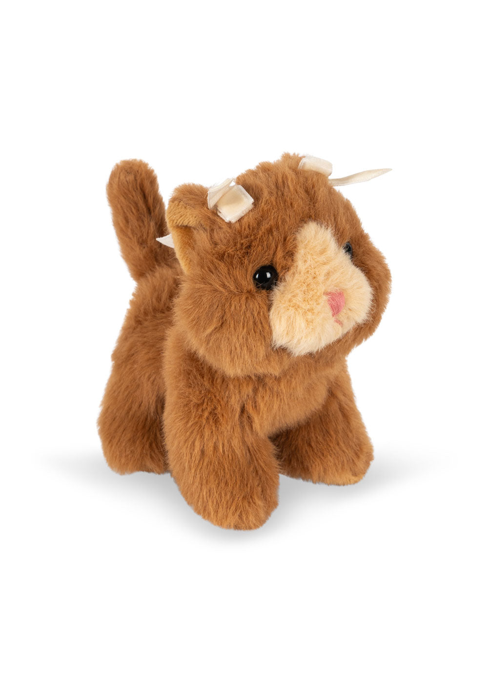 BABY ANIMALS - brown cat