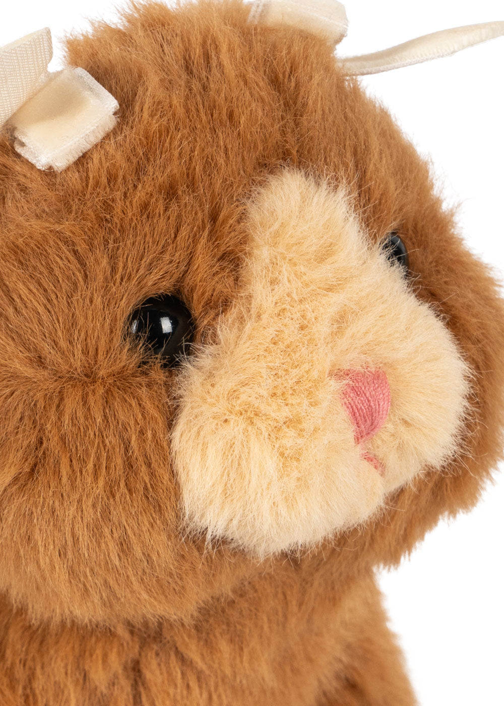 BABY ANIMALS - brown cat