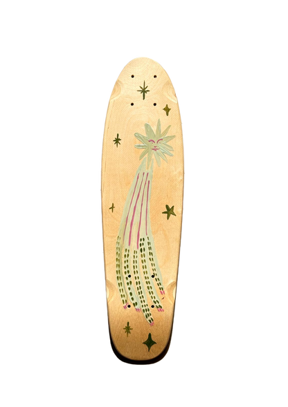 Skateboard Wall Art x Museum of Mini