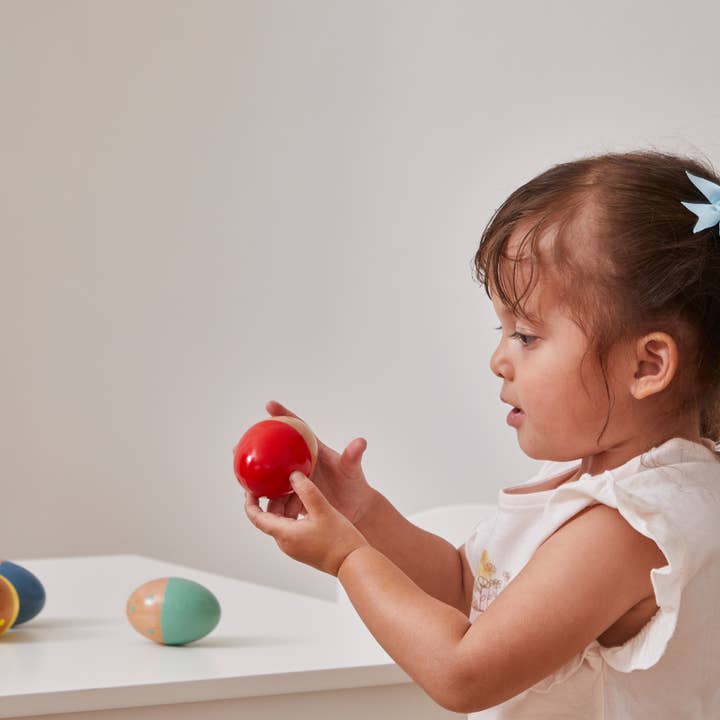 Wholesale Egg Shakers Display - 12 pcs