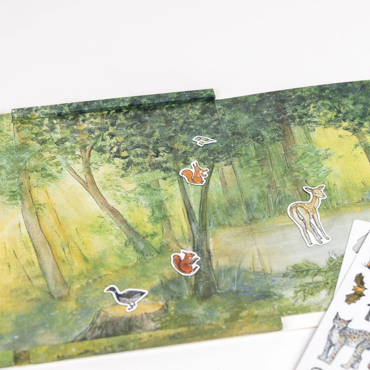 Forest Magnetic Game