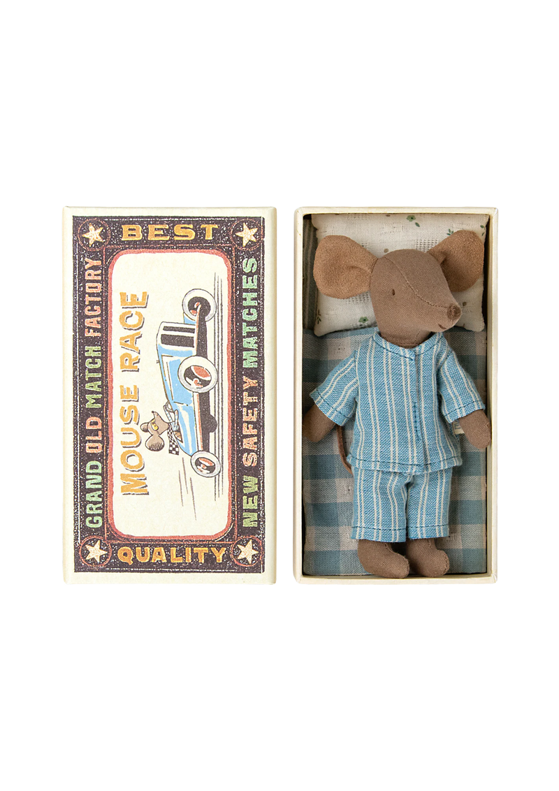 Big brother mouse in matchbox