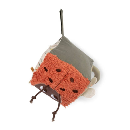 Activity cube - Little Wonders