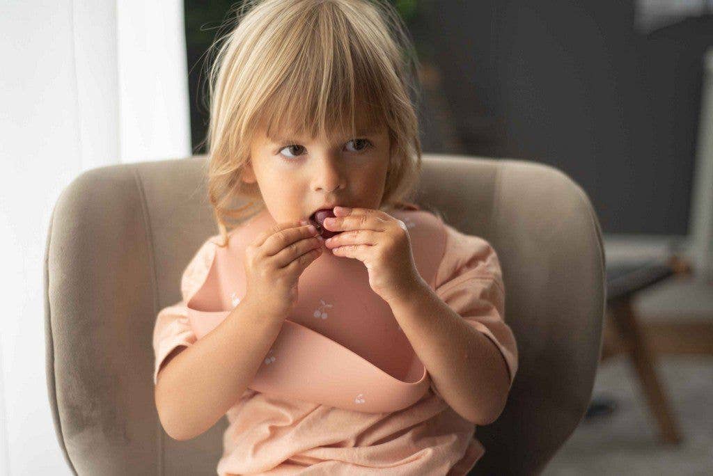 Shayan Silicone Bib - Cherry (Peach)