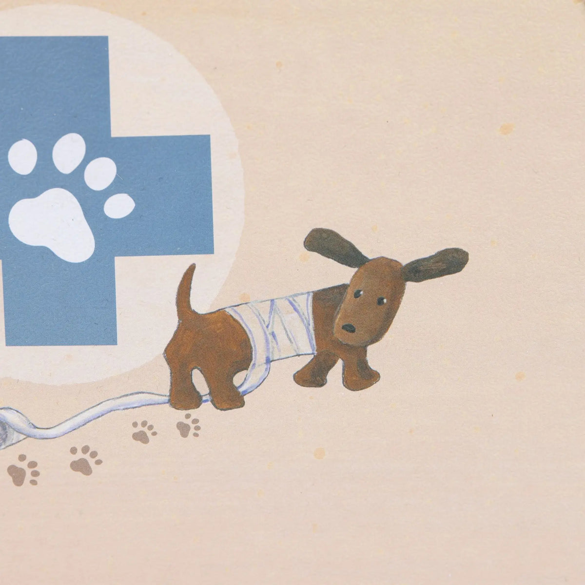 Edward the dog veterinary case
