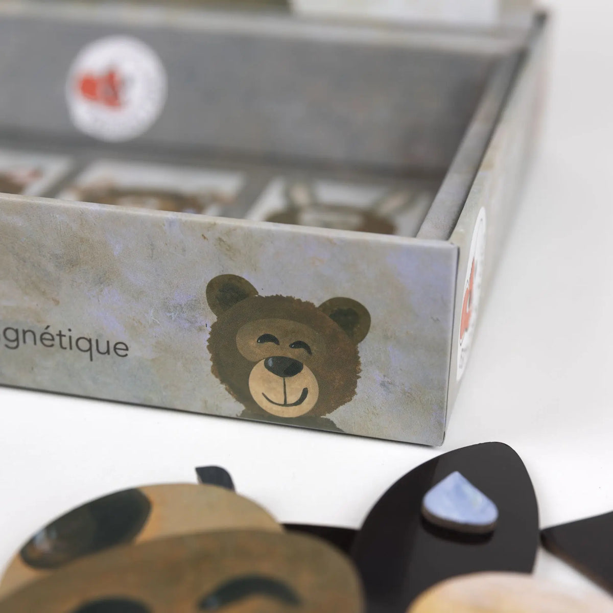 Expressions Magnetic Game