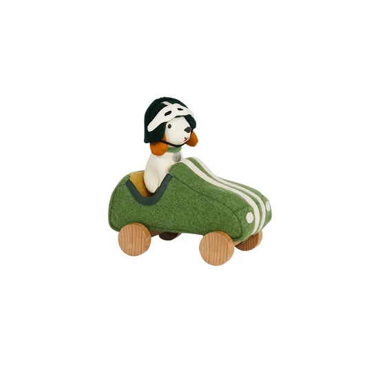 Holdie Dog-Go - Racer Boy - Green