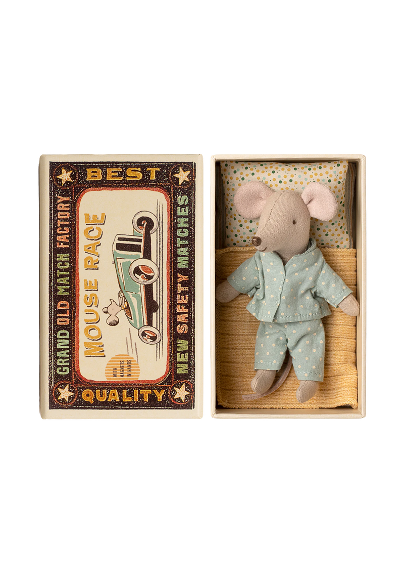 Little brother mouse in matchbox