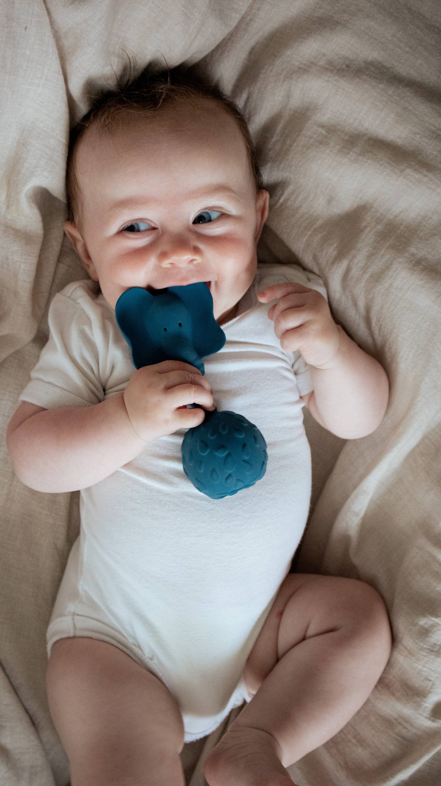 Rattle Elephant - Blue