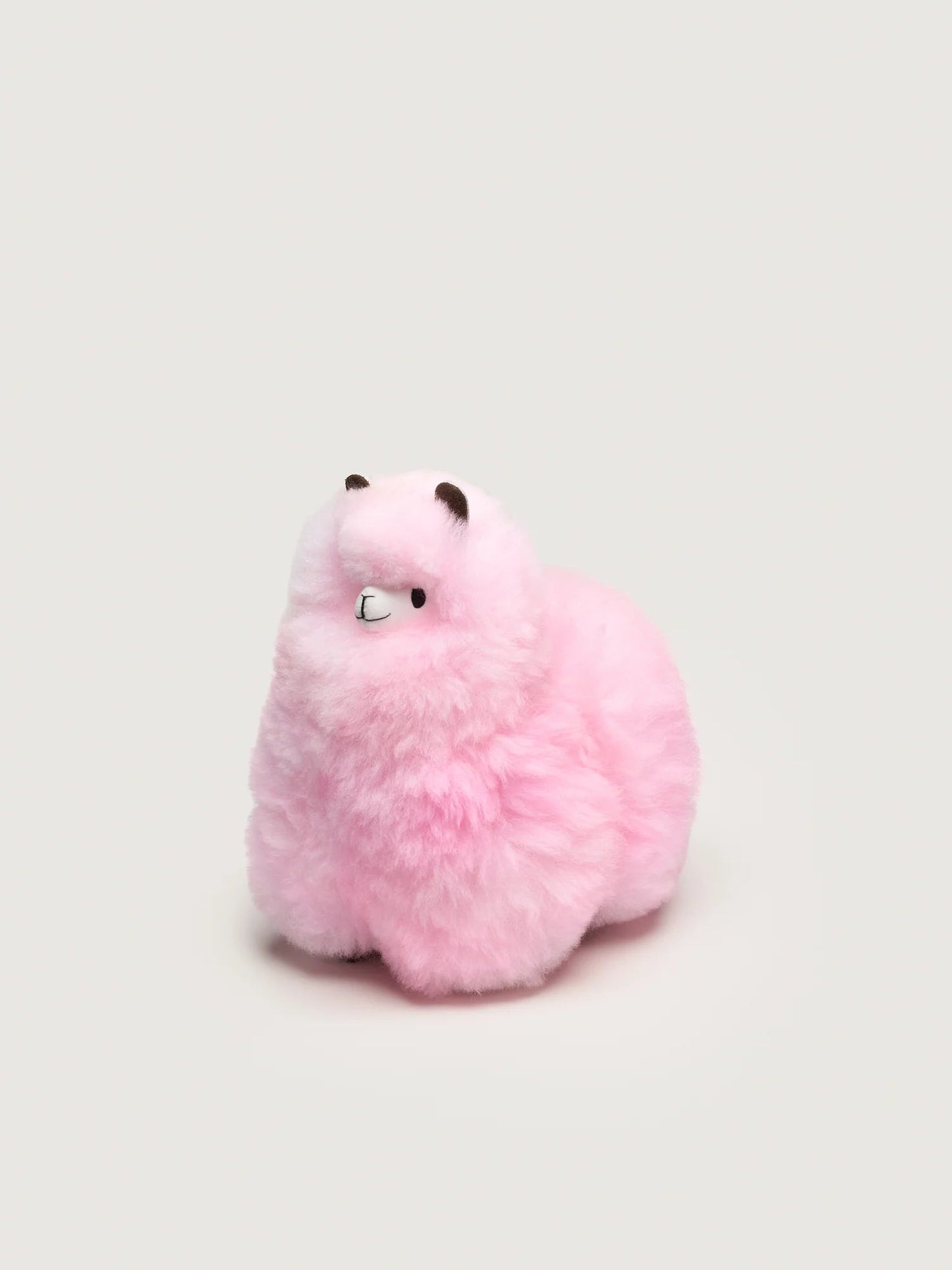 Huacaya - Pastel Colors