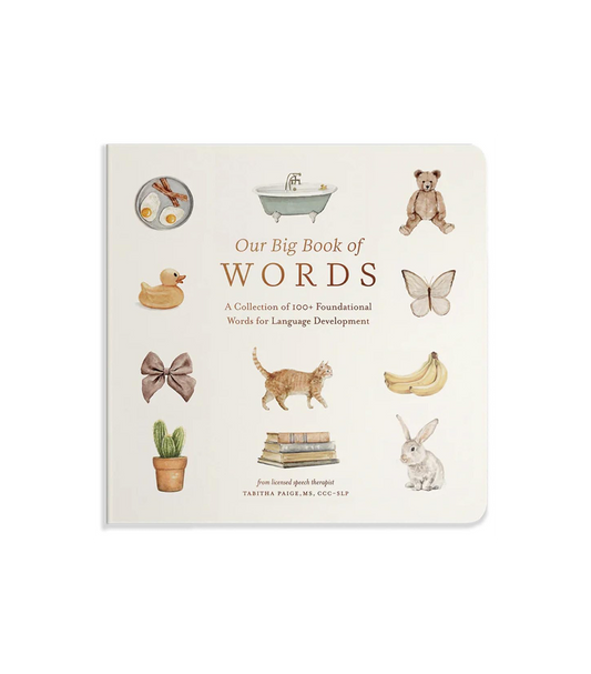 Our Big Book of First Words