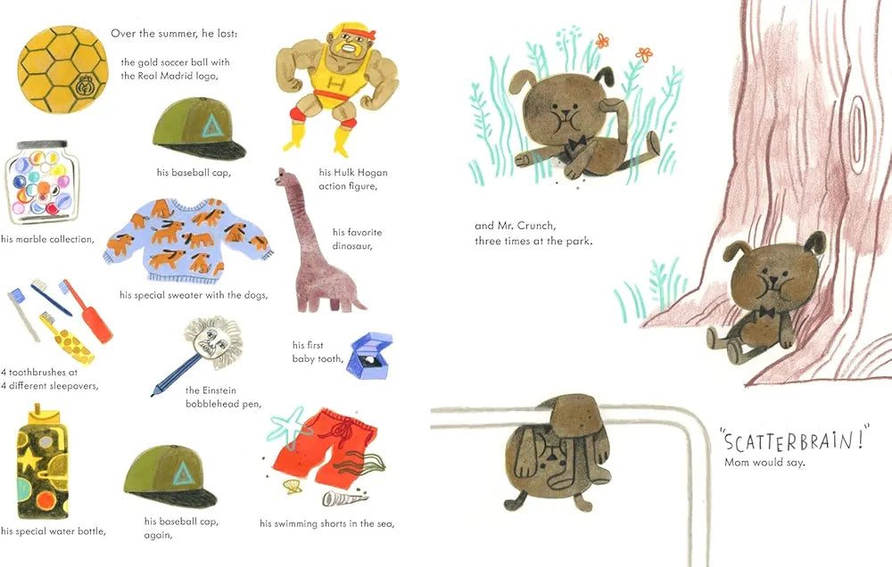 A Lost Cause: A Picture Book