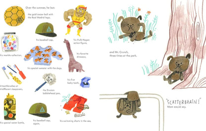 A Lost Cause: A Picture Book