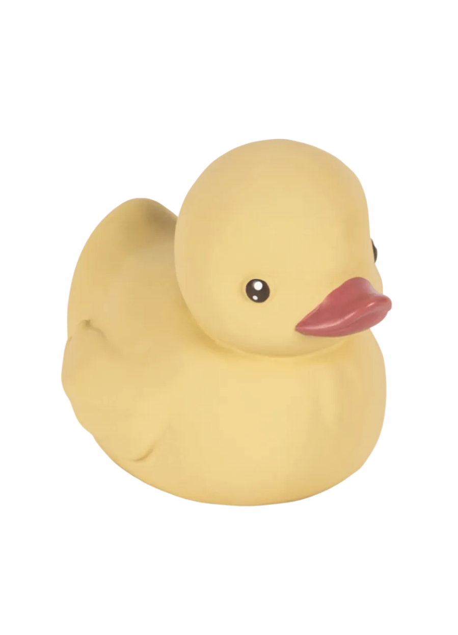 Duck Bath Toy