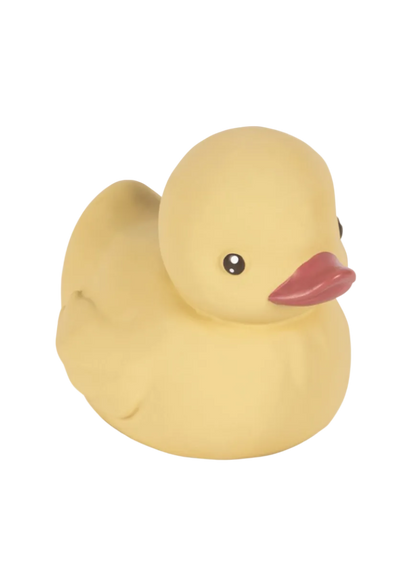 Duck Bath Toy