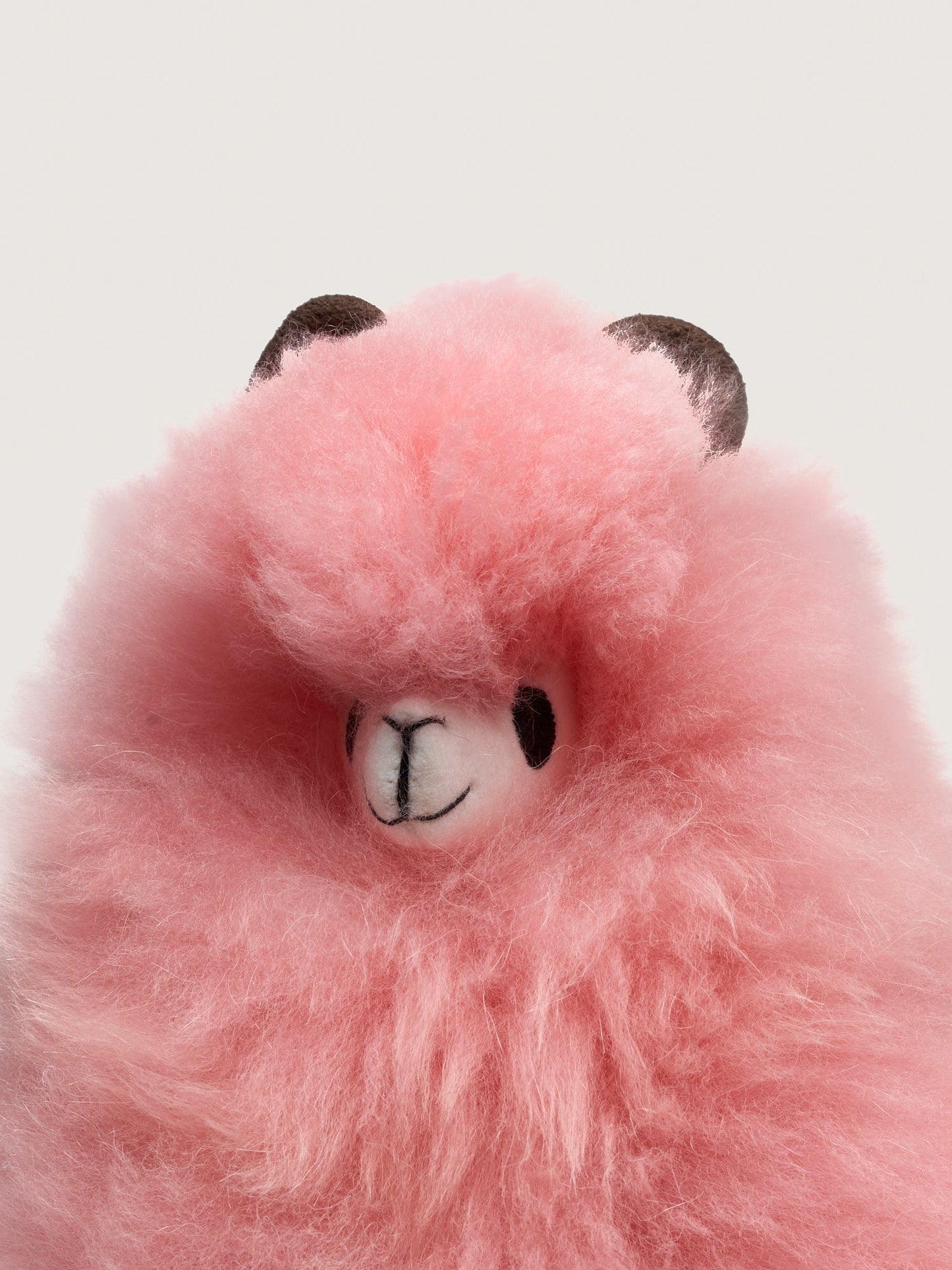 Huacaya - Pastel Colors