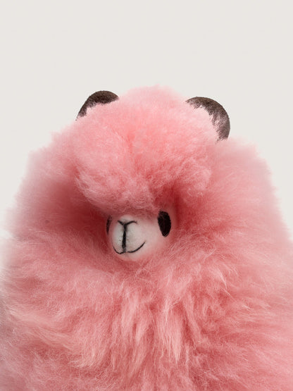 Huacaya - Pastel Colors