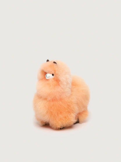 Huacaya - Pastel Colors