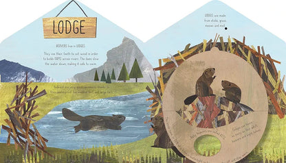 Animal Homes A Lift-the-flap Book Of Discovery