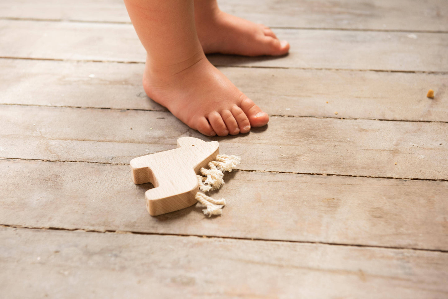 DADA wooden toy