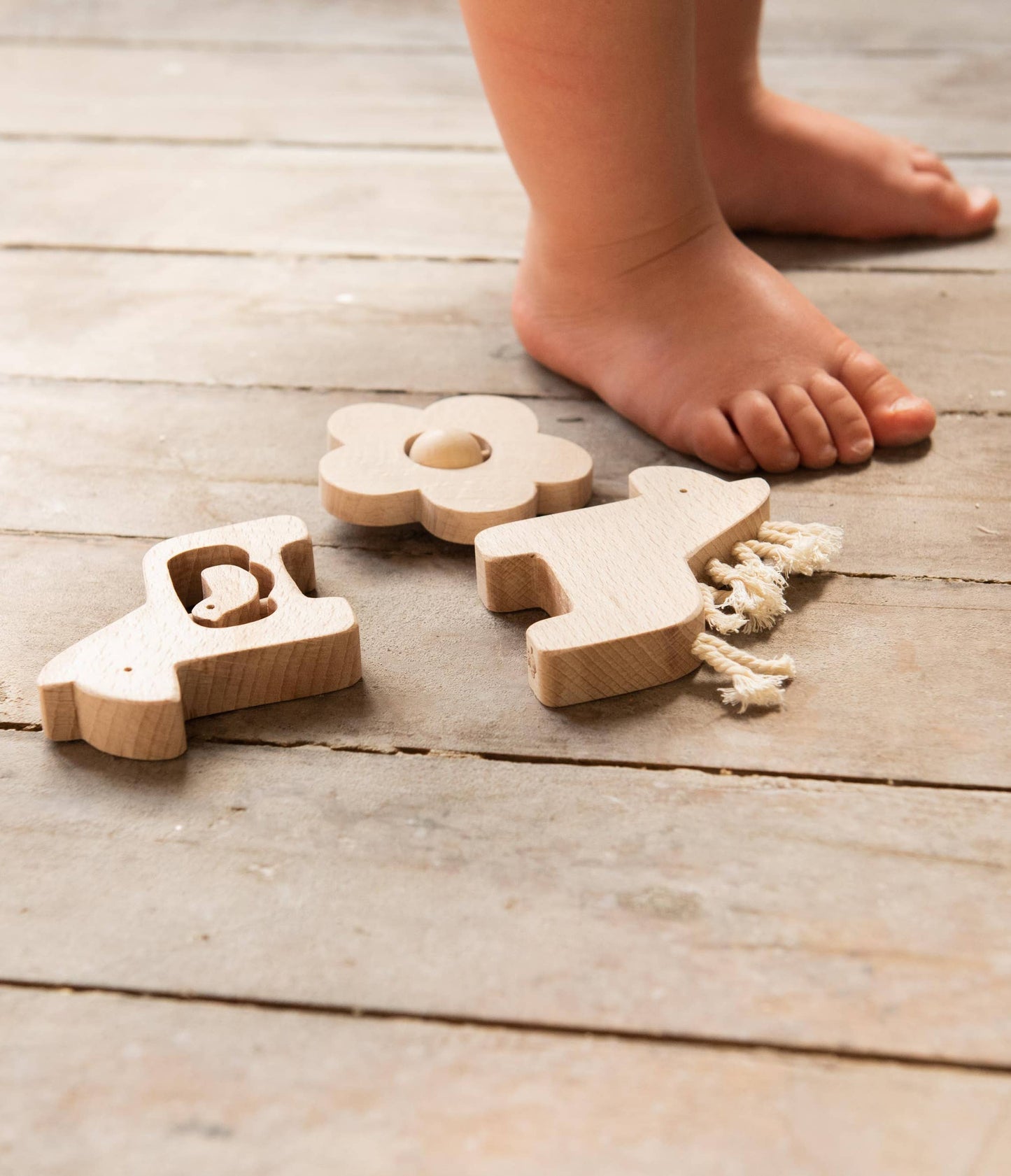 DADA BIRD wooden toy