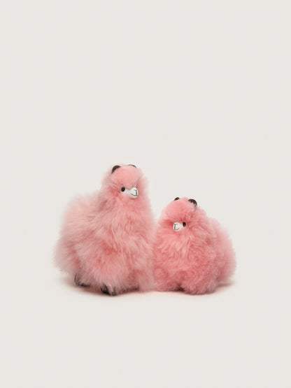 Huacaya - Pastel Colors