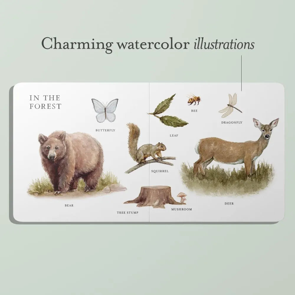 Our Big Book of First Words