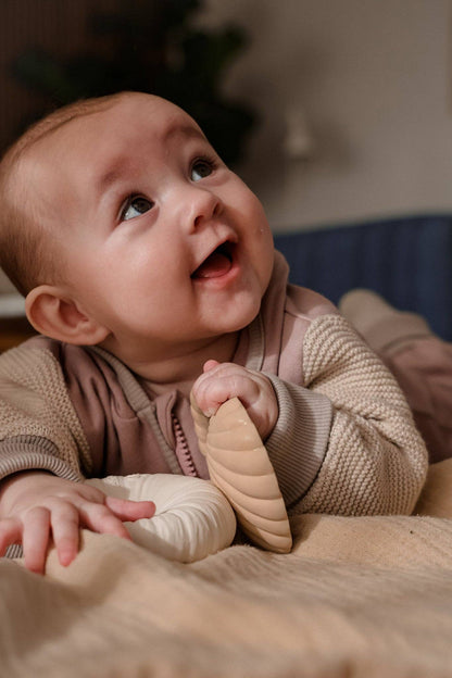 Clam teether