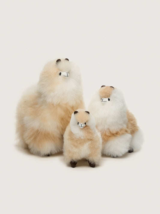 Huacaya – Light Blonde