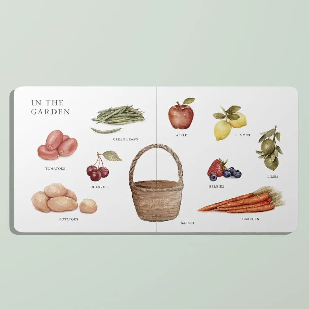 Our Big Book of First Words