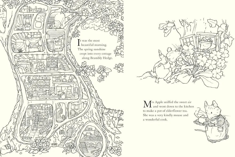 Brambly Hedge: Nature Colouring Book