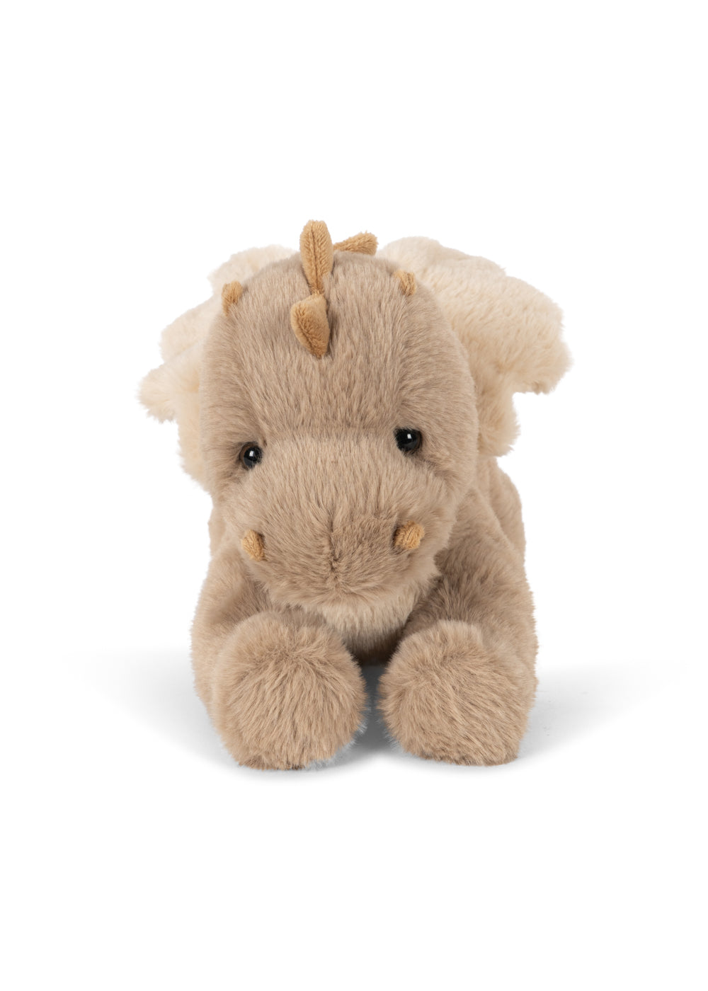 Teddy Dragon