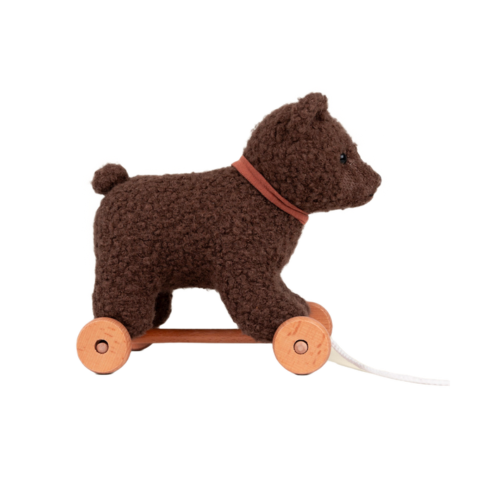 Raoul the Pull-Along Bear
